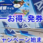 【世界で1番お得に発券可能】ANA国内線特典航空券の減額マイルキャンペーン