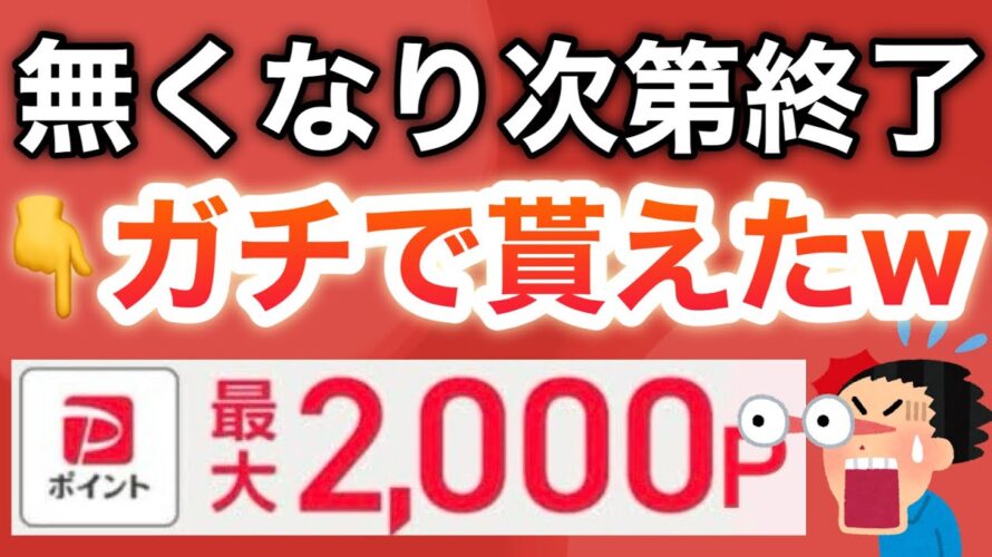 【急げ‼︎】今日から5000pか2000pどちらか貰える…‼︎PayPayも簡単に‼︎