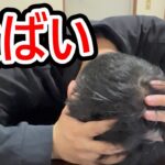 ビットコインに全財産654万円をぶち込んだ営業38歳サラリーマンの人生【2025年3月28日】 #bitcoin #全財産