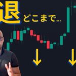 【BTC分析】なぜビットコインは下落？市場は何を想定している？（データー）【元証券アナリスト】