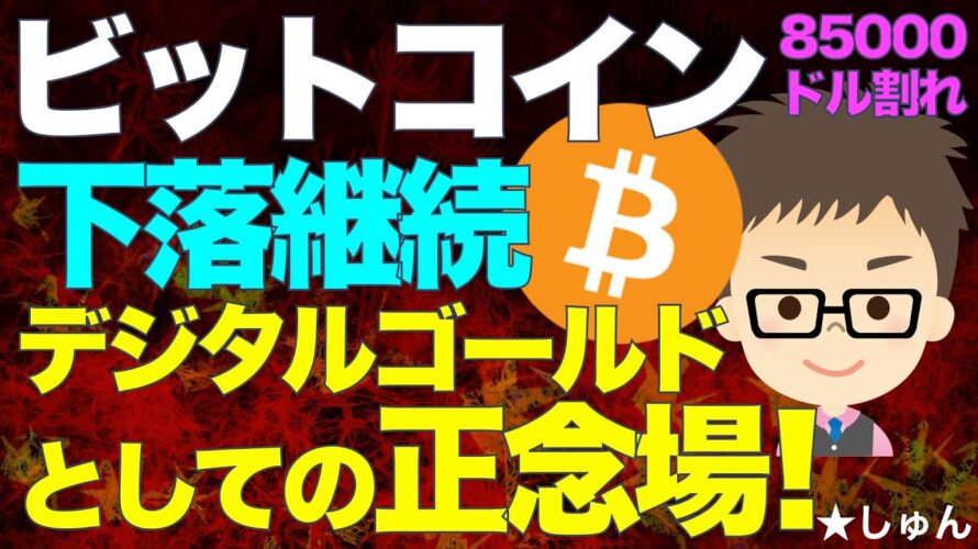 ビットコイン(BTC)!下落継続!85000ドル割れ!〜デジタルゴールドとしての正念場!
