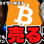 🔥『ビットコイン売るな』マクロストラテジーCEOが吠える／ソラナが回復！理由は？XRPはどうなった？／ミームコインにご注意を