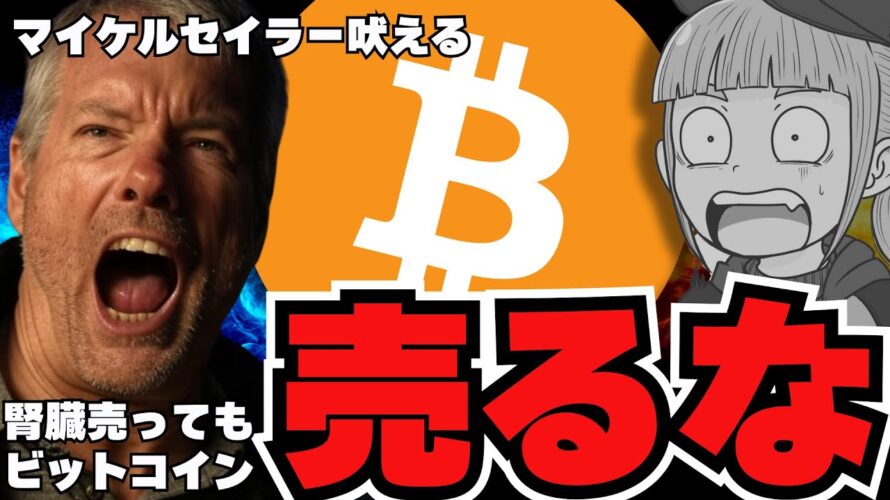 🔥『ビットコイン売るな』マクロストラテジーCEOが吠える/ソラナが回復!理由は?XRPはどうなった?/ミームコインにご注意を