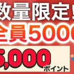 【急げ‼︎】今だけコレでPayPay5000pも貰えちゃう…‼︎