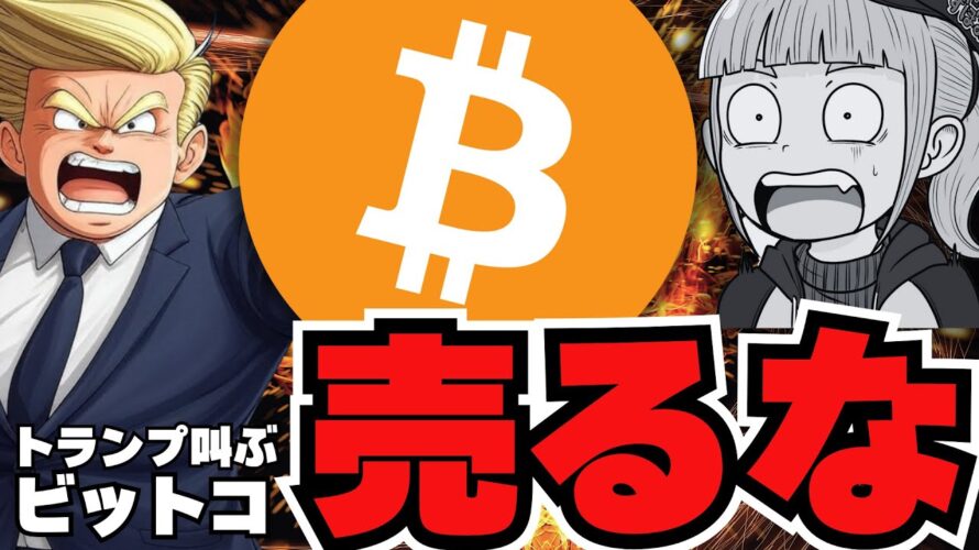 【🔥新たな希望】米国はビットコインをこれで増やす?急げトランプ/Solana、XRP、ETHが本当に厳しい。。/新たな注目ミームコインが登場!