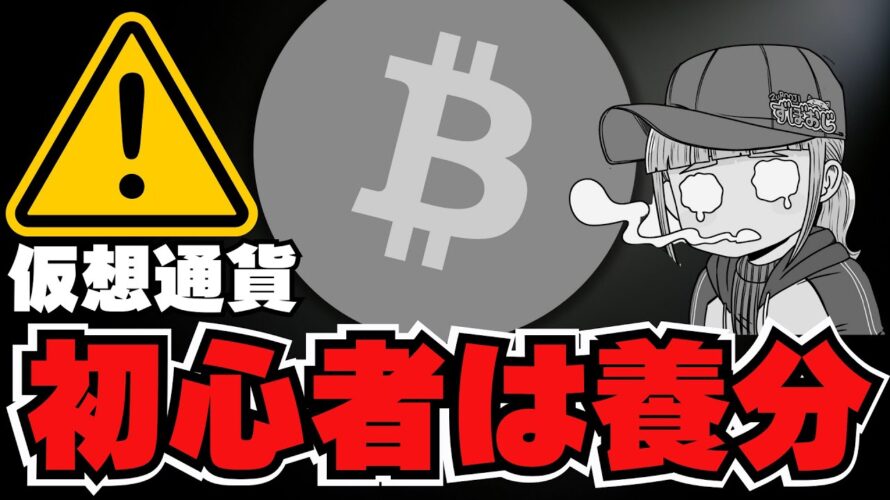 【🔥閲覧注意】ビットコインまた下落。初心者への注意/XRPドバイ進出!裁判もさらに進展!