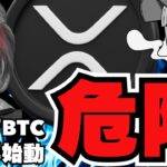 【🔥危険】仮想通貨回復のなか再始動・ビットコイン準備金／XRPのETFが激震／ミームコインは停滞続く