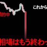 ビットコイン、そんなことはどうでもいい。今は”とにかく”逃げるべき