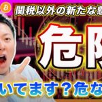 【頭動いてる？】ビットコイン・早く目を覚まして下さい。テクノロジーの大将が討たれたのに、まだバブルが来ると思ってるの？関税以外のリスクが出てきたんだよ。【最新の仮想通貨分析を公開】