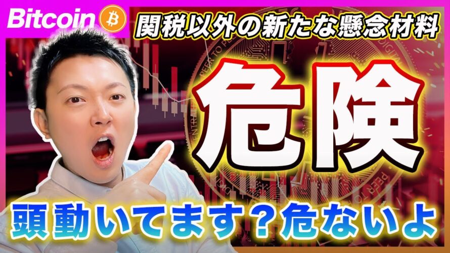 【頭動いてる?】ビットコイン・早く目を覚まして下さい。テクノロジーの大将が討たれたのに、まだバブルが来ると思ってるの?関税以外のリスクが出てきたんだよ。【最新の仮想通貨分析を公開】