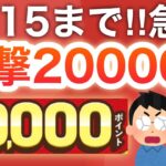 え、コレだけだ20000p貰えるの？さらに完全無料でPayPay1200pも…‼︎