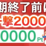 【急げ‼︎】たったコレだけで20000p‼︎さらにPayPay最大1万p貰える神キャンペーン復活！！