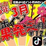 【花より団子よりポイ活だ！】2025年3月の獲得実績をご紹介！トリマは？ハイジは？プラリーは？移動系ポイ活の成果をご覧ください【ポイ活】【実収益】