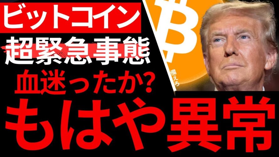 【ビットコイン】号外!キチガイ245%!一生に一度の買い場。買えない情弱は文句言う資格なし!