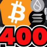 【最強予測】ビットコイン24倍来るか！キャシーW／100倍説も／SUIが超強い！XRP、ETH、SOLは？／ソラナミームが強すぎる