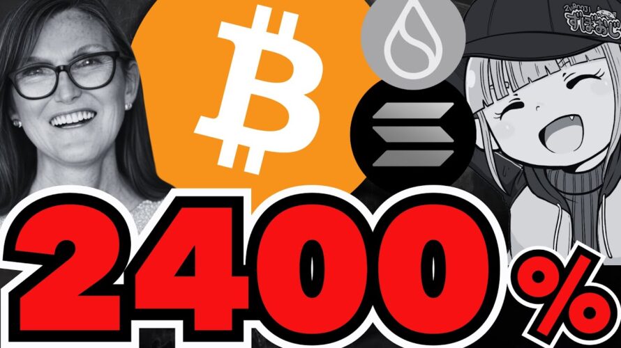 【最強予測】ビットコイン24倍来るか!キャシーW/100倍説も/SUIが超強い!XRP、ETH、SOLは?/ソラナミームが強すぎる