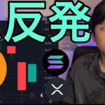 【株価＆ビットコイン急反発】なぜ？BTC以外の仮想通貨は悲惨