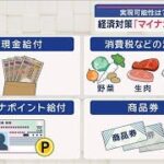 経済対策「マイナポイント」浮上　実現可能性は？　記者解説【スーパーJチャンネル】(2025年4月16日)