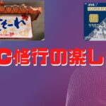 SFC修行の楽しみ方　ANA　那覇　石垣