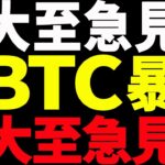 【仮想通貨】ビットコイン暴落で仮想通貨バブル完全終了⁉︎今後の最新分析を大至急見て！
