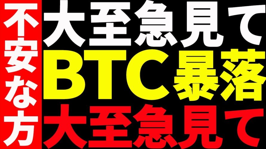【仮想通貨】ビットコイン暴落で仮想通貨バブル完全終了⁉︎今後の最新分析を大至急見て!