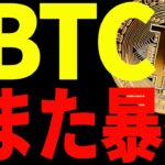 【仮想通貨】ビットコインまた暴落するの⁉︎プロトレーダーの今後の目線を共有します！