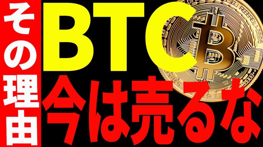 【仮想通貨】ビットコイン今は売るな!その理由と今後の最新分析を共有します!