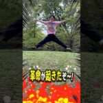 移動系ポイ活はこれで決まり！