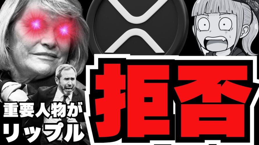 【ビットコイン】ついに10.7万ドル!仮想通貨バブルで史上最高値更新か/注目の急上昇コイン!Goolge元CEOが出資/XRP最新情報!ルミス議員に会えない