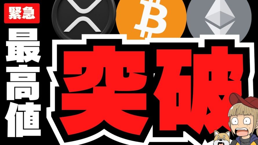 【仮想通貨】ビットコイン史上最高値！11万ドル突破／バブルはいつくるのか／XRP、ETH、SOLはどうなる？／ミームコインバブルが迫る！