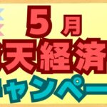 【まとめ】楽天ペイ、楽天キャッシュ、楽天カード、楽天ポイントの5月キャンペーンを厳選して紹介します