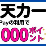 【楽天カード】絶対参加！QUICPayの利用で最大1000ポイントが必ずもらえるキャンペーン