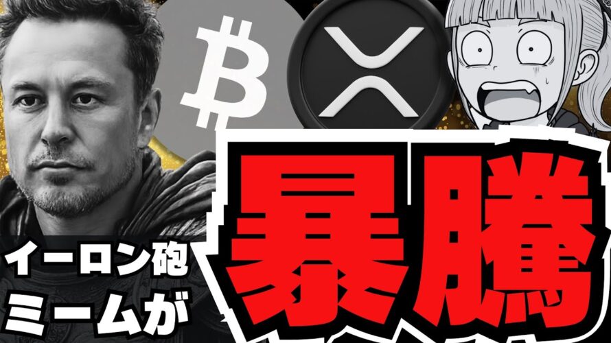 【仮想通貨】イーロン砲で爆上げ!ビットコインバブルは年末までか/リップルに弱気兆候?今後どうなる?/トランプファミリーが買ったコインが急騰