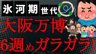【悲報】うわぁ!6週めもガラガラやんけ大阪万博!公式サイトは常にサーバー落ちで予約不可!羽虫ユスリカは日に日に勢力を拡大しコンビニに入り込む!