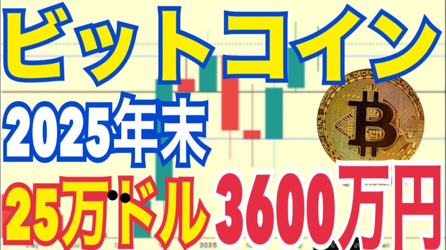 【ビットコイン】2025年末25万ドル（約3600万円）まで到達の可能性！？