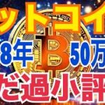 ビットコイン「まだ過小評価されている」2028年まで50万ドルから100万ドル到達か！？