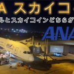 【ANA スカイコイン】マイルとスカイコインどちらがお得？