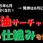 【ANAマイル】緊急値下げ！なぜ？ 特典航空券にも附加される燃油サーチャージ、2025年8～9月分が更に大幅減額！ ANA国際線航空券を購入するなら8月1日以降に発券！
