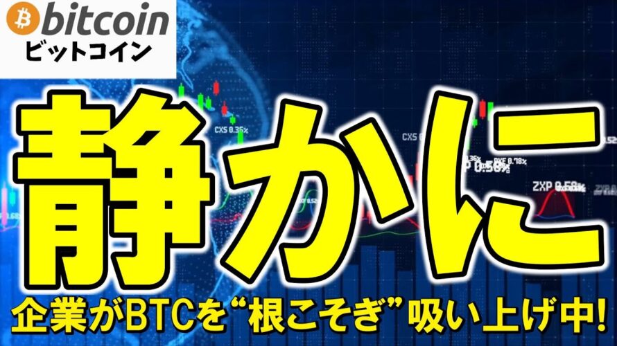 【仮想通貨 ビットコイン】もしかしてBTCは企業に乗っ取られる日が近いかも?個人が売ったBTCを企業が吸い上げ中…売ったら負け?(朝活配信1856日目)【暗号資産 Crypto】