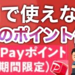 【失効する人続出】話題のPayPay期間限定ポイント解説‼︎/裏技やおすすめの使い方も紹介