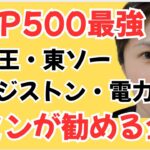 世界最強指数S&P500だけじゃない、花王・東ソー・ブリヂストン・電力会社。エミンユルマズが期待する企業とは。