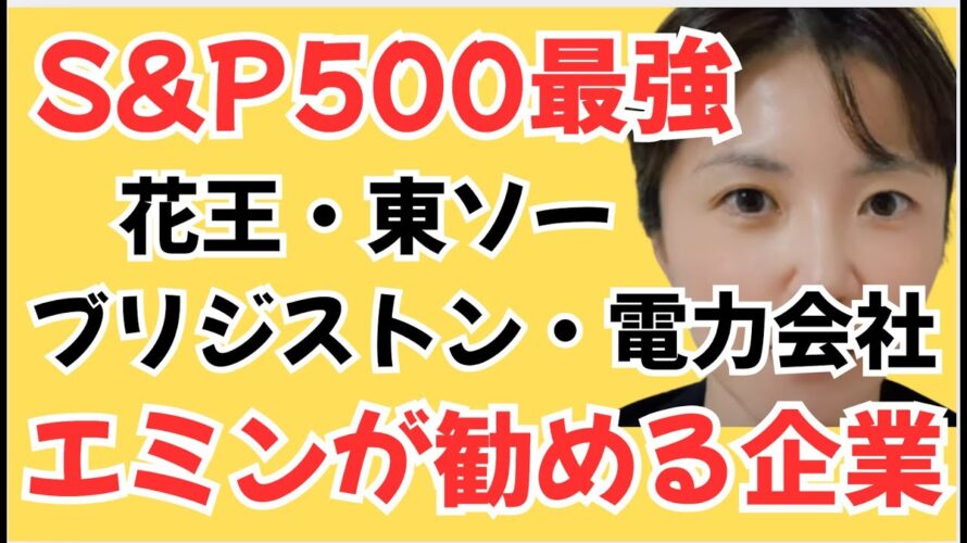 世界最強指数S&P500だけじゃない、花王・東ソー・ブリヂストン・電力会社。エミンユルマズが期待する企業とは。