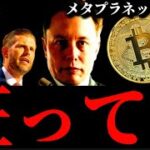 【狂乱】イーロン×トランプ騒動継続もビットコイン関連株メタプラネットは好調。ミームTRUMP大規模購入発表とIOST、米雇用統計後のリップルXRP暗号資産事情