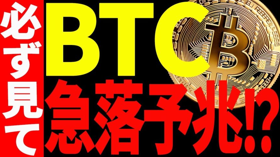 【仮想通貨】ビットコインに急落予兆あり⁉今後の値動きは○○に注目しろ!