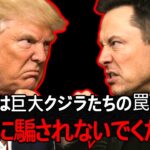 ビットコインにとてつもないシグナルを確認しました。おそらく、予想通りには動かないはずです。