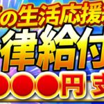 【一律給付金】マイナポイント給付【参院選公約】給付金｜日本人ファースト｜小泉米｜古古古米｜コメ不足｜物価高対策｜きゅうふきん｜自治体