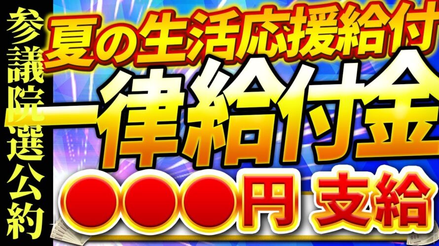 【一律給付金】マイナポイント給付【参院選公約】給付金|日本人ファースト|小泉米|古古古米|コメ不足|物価高対策|きゅうふきん|自治体
