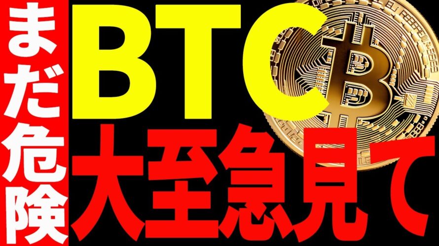 ⚠️大至急見て⚠️ビットコインはまだ危険!下落に警戒すべき理由と意織するポイントを共有!