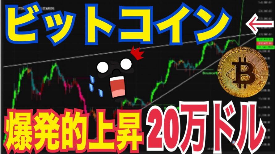 【ビットコイン】次は爆発的な上昇で20万ドル越えか!?10月ピーク説!?
