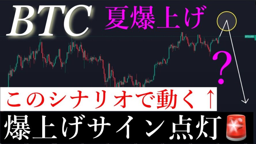 📈この夏爆上げ!ビットコイン天井は8月です。BTCUSD
